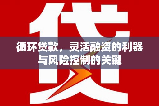 秦淮循环贷款，灵活融资的利器与风险控制的关键
