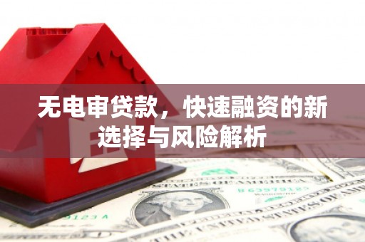 秦淮无电审贷款，快速融资的新选择与风险解析