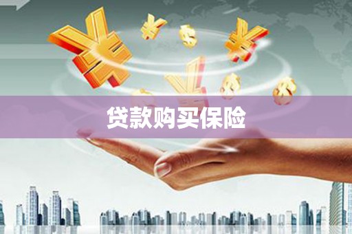 秦淮贷款购买保险