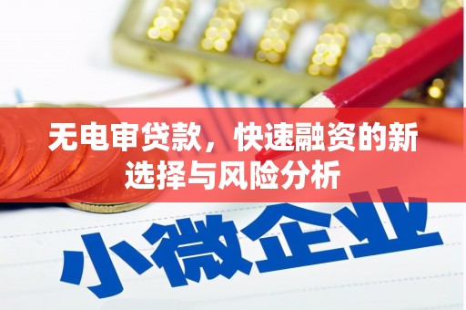 秦淮无电审贷款，快速融资的新选择与风险分析