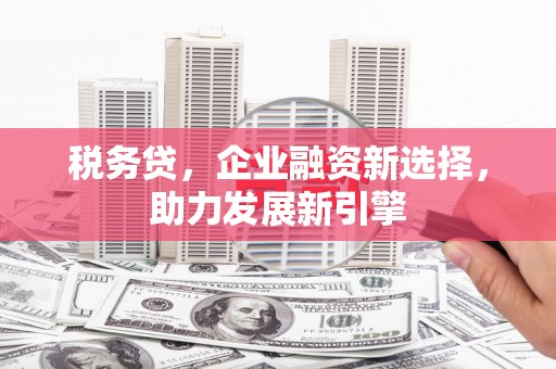 秦淮税务贷，企业融资新选择，助力发展新引擎