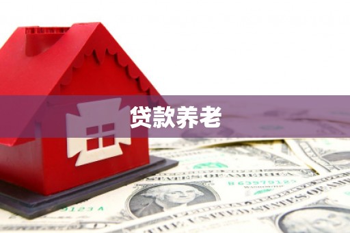秦淮贷款养老