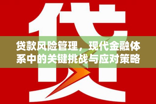 秦淮贷款风险管理，现代金融体系中的关键挑战与应对策略