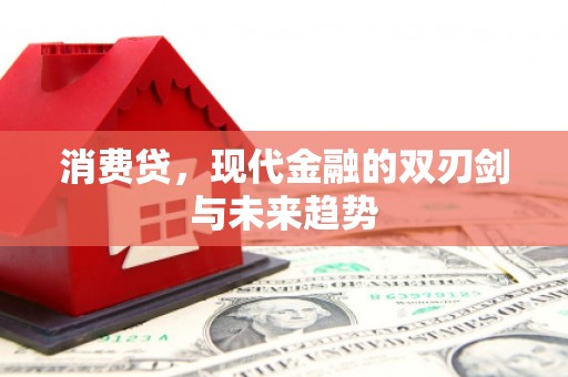 秦淮消费贷，现代金融的双刃剑与未来趋势
