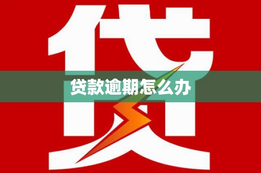秦淮贷款逾期怎么办