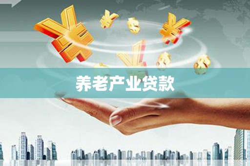 秦淮养老产业贷款