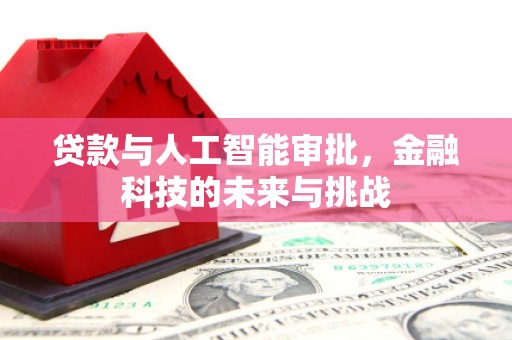 秦淮贷款与人工智能审批，金融科技的未来与挑战