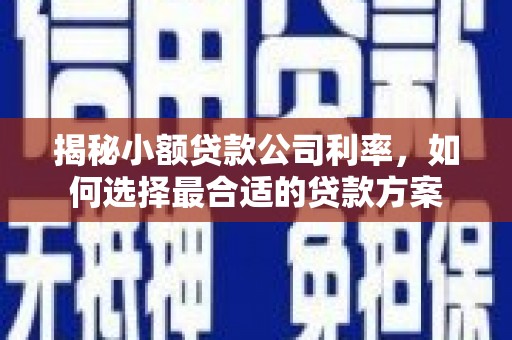 秦淮揭秘小额贷款公司利率，如何选择最合适的贷款方案