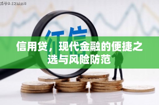 秦淮信用贷，现代金融的便捷之选与风险防范