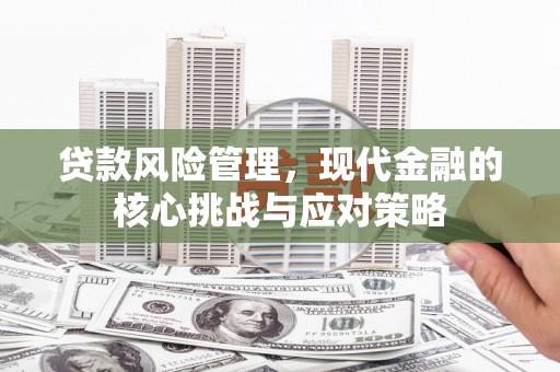 秦淮贷款风险管理，现代金融的核心挑战与应对策略