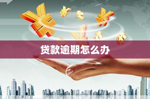 秦淮贷款逾期怎么办
