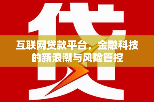 秦淮互联网贷款平台，金融科技的新浪潮与风险管控