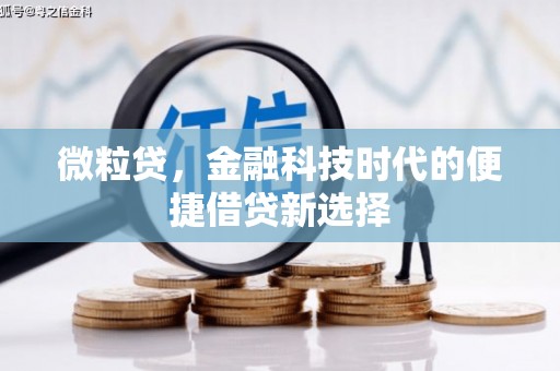 秦淮微粒贷，金融科技时代的便捷借贷新选择