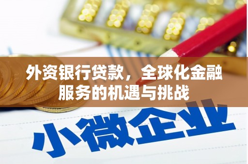 秦淮外资银行贷款，全球化金融服务的机遇与挑战