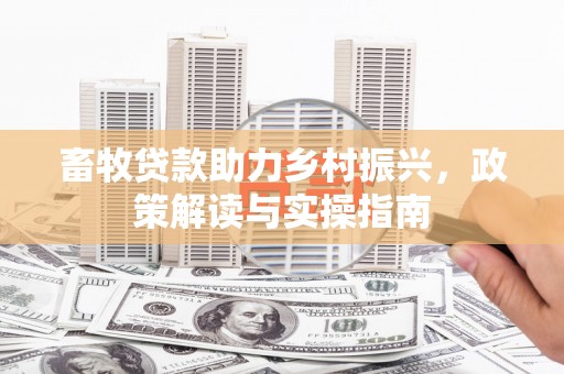 秦淮畜牧贷款助力乡村振兴，政策解读与实操指南
