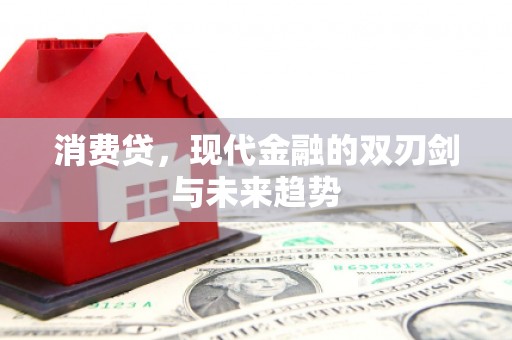 秦淮消费贷，现代金融的双刃剑与未来趋势