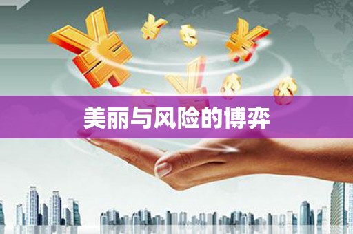 秦淮美丽与风险的博弈