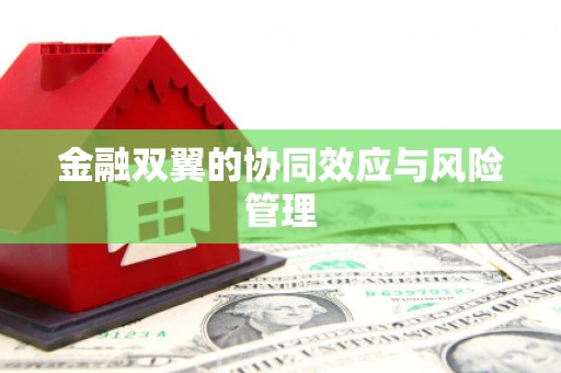 秦淮金融双翼的协同效应与风险管理