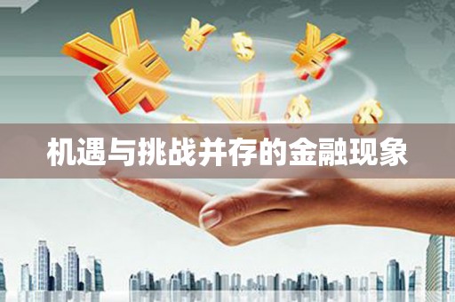 秦淮机遇与挑战并存的金融现象