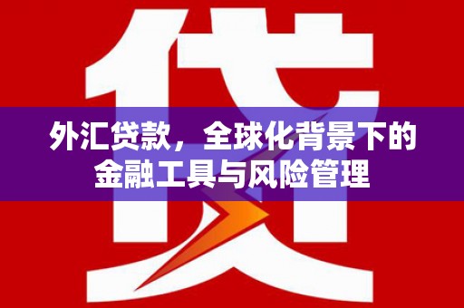 秦淮外汇贷款，全球化背景下的金融工具与风险管理