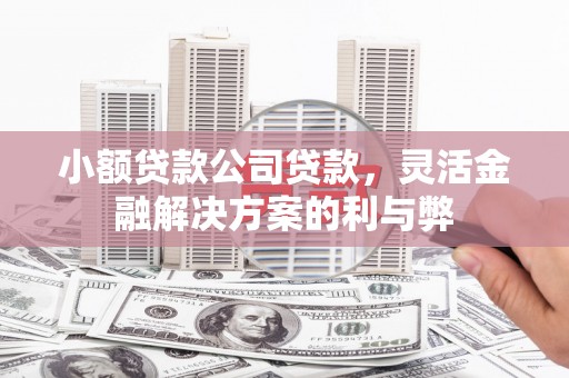 秦淮小额贷款公司贷款，灵活金融解决方案的利与弊